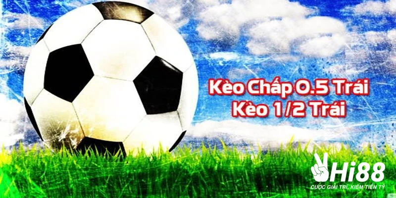 Tỷ lệ của kèo chấp handicap 0.5